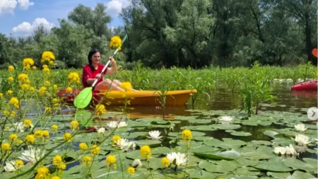 Ne, ovo nije Amazonija, već naša Srbija: Rode, čaplje, divlje patke, srne... Na samo sat vremena od Beograda