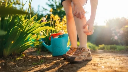 Tajno oružje protiv komaraca: Ovo je trik koji će sprečiti napasti, uživaćete celog leta