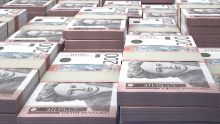Ko finansira ovu blokadersku organizaciju u Srbiji? Poznata novinarka progovorila!