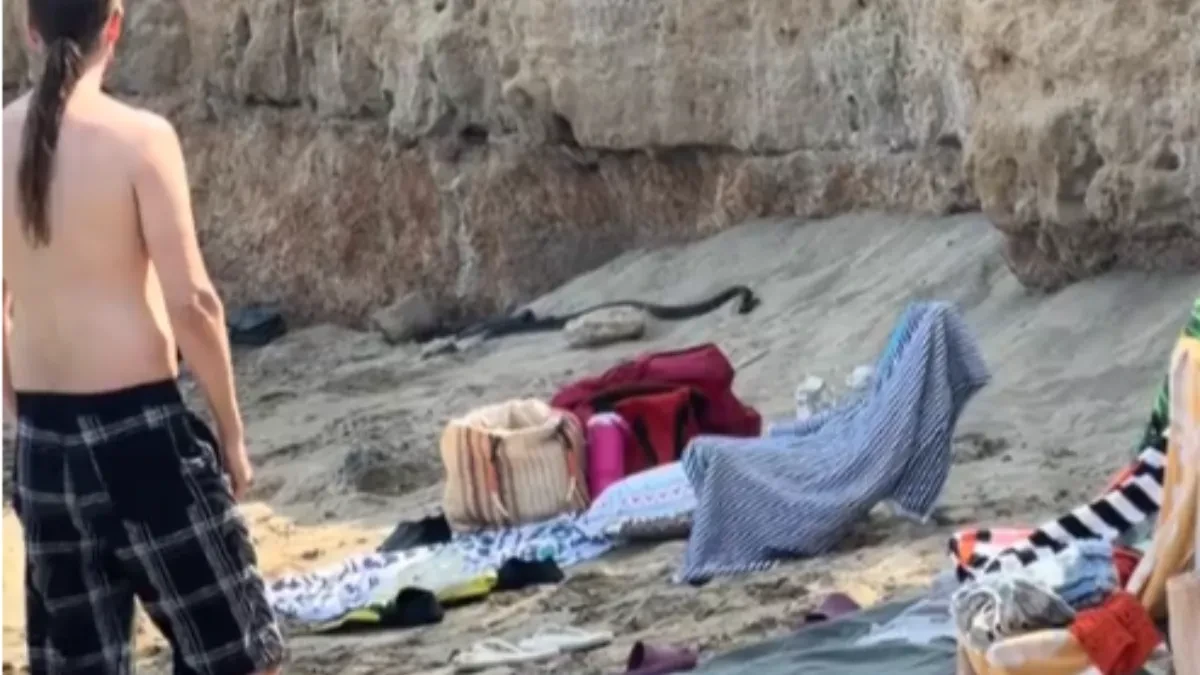 Hitno upozorenje za Srbe na Kipru: Jezive scene na plaži, nastao stampedo među turistima (VIDEO)