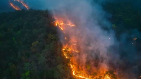 El Ninjo se vraća? Meteorolozi upozoravaju na opasan preokret, evo šta čeka Srbiju