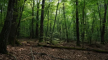 Žandarm u centru horora! Slučaj koji je ledio krv prestonice