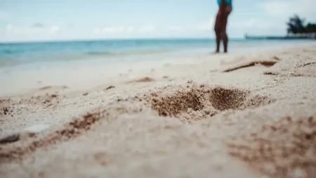 Mnogi bi ga šutnuli nogom - kamen pronađen na plaži prodaje se za oko 12.000 evra