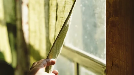Zbog jedne navike nam je kuća puna buba: Ovu stvar držimo na prozoru, pa privlačimo insekte kao magnetom
