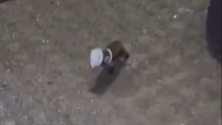 Snimak koji topi srca: Divlja životinja zaglavila glavu u tegli, reakcija prolaznika oduševila region!