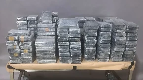 Zadat još jedan udarac narkomafiji! Policija u Novom Sadu zaplenila više od 107 kilograma droge, uhapšene dve osobe