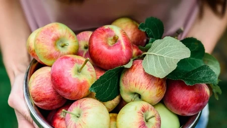Gulite je i bacate u kantu, a zdravija je od samog ploda: Kora jabuke je zlato, ima vitamina da ne možete ni da zamislite koliko