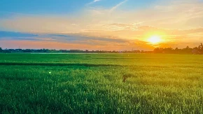 Srbija pokreće novi zakon o komasaciji zemljišta - šta se menja u poljoprivredi