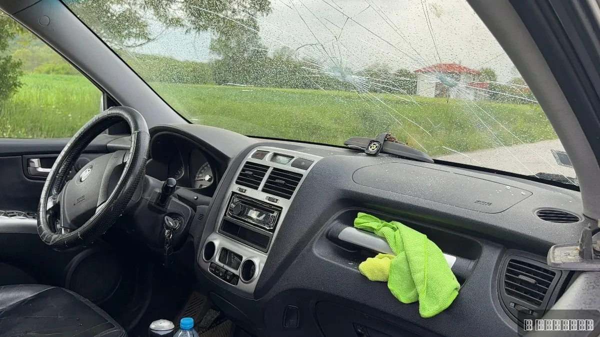 Šok snimak iz Podgorice! Čovek krenuo da upali kola, pa ugledao "pijanog ježa" (VIDEO) 