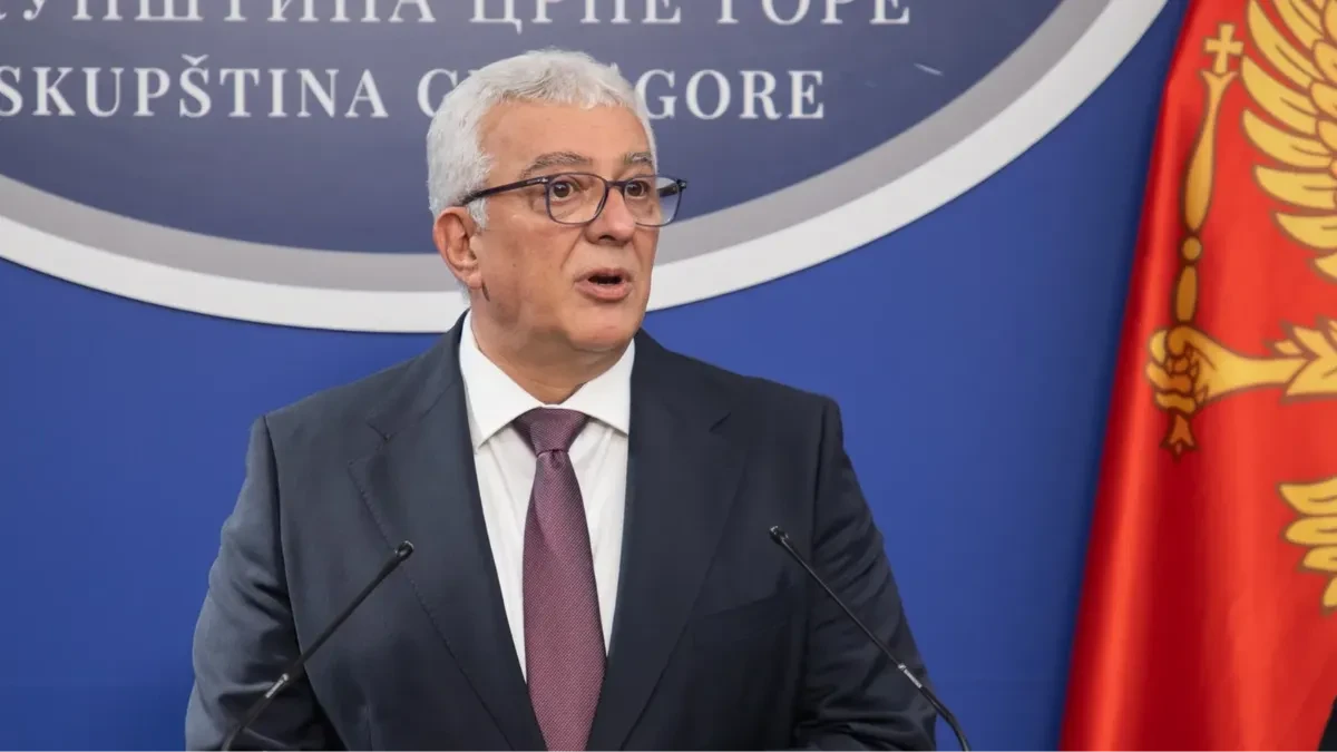 "Ako je Srbija bila okupator, šta su bili svi oni?" Gajić uputio otvoreno pitanje Mandiću