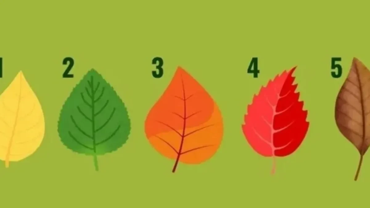Da li ste rođeni vođa, kreativac ili mudrac? Ovaj test otkriva odgovor za nekoliko sekundi