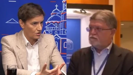Brnabić zgromila Piculu: Vidite da u još neku rezoluciju ubacite nepostojeći zvučni top i obučene pčele