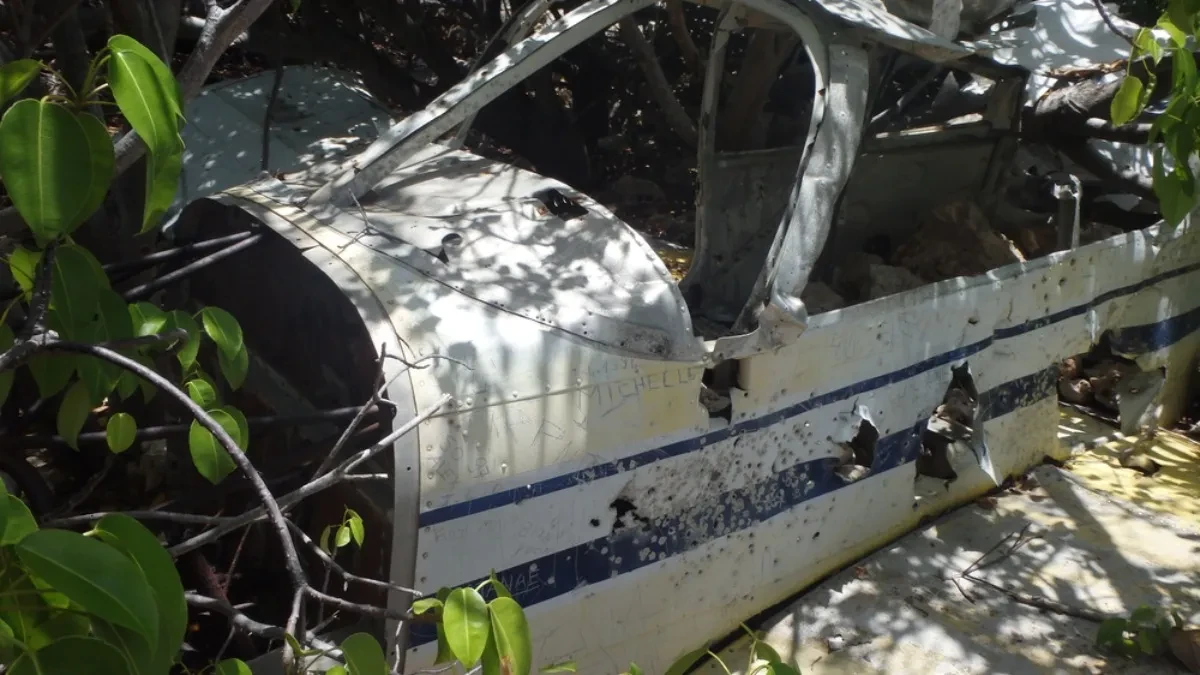 Srušio se avion kod Perta: Stravične scene nakon nesreće, poginuo pilot (VIDEO)