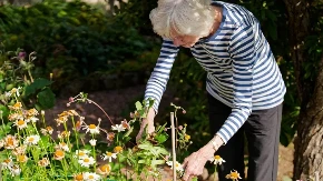 Viralni trik sa zaleđenom flašom čuva baštu na 35°C: Štiti biljke od toplotnog šoka