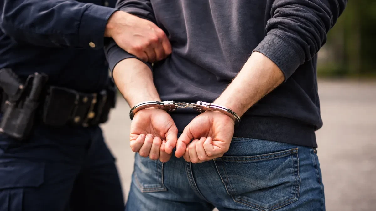 Nesvakidašnji slučaj na jugu Srbije: Policija uhapsila lopova, sve šokirao time šta je ukrao