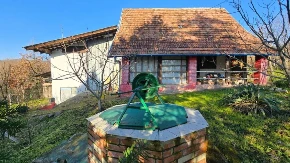 Seosko domaćinstvo i 30 ari placa za 25.000 evra! Ana ima nekretninu za kupce koji hoće prirodu, tišinu i čist vazduh