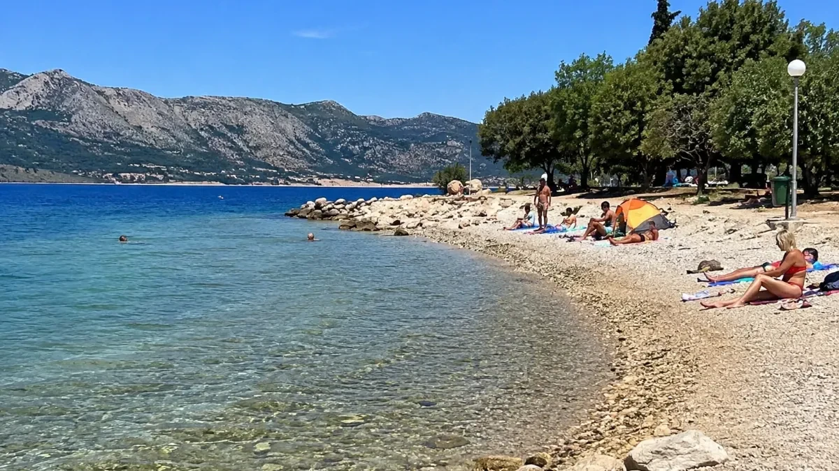 Snimak iz Hrvatske zapalio mreže: Delfin se igrao sa kupačima, ali iza dirljivog prizora krije se ozbiljna opasnost