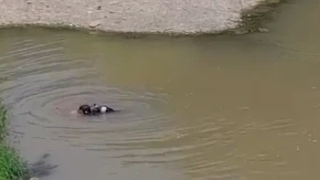 Ova kupališta su smrtonosne klopke! Spasioci otkrili u koju vodi nikako ne treba da ulazite