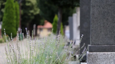 JKP „Pogrebne usluge” Beograd upozorava sugrađane da se usluge na održavanju spomenika ugovoraju isključivo u službenim prostorijama preduzeća