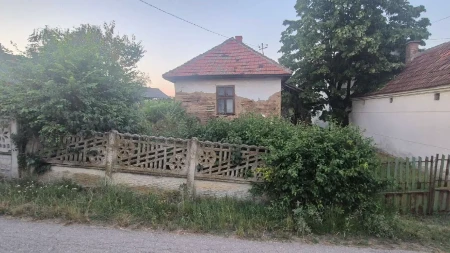 Jovana prodaje kuću za samo 5.000 evra: Treba joj adaptacija, ali kad se sredi može biti odlična investicija