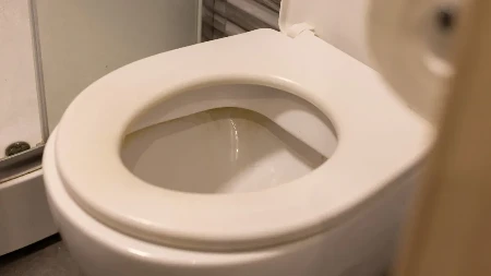 Skida kamenac momentalno, a kada je jednom ovako sredite posle je samo održavate: Kako očistiti WC šolju, nemojte zaboraviti i vodokotlić