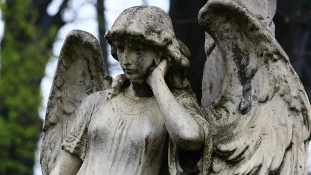 Prolećna sezona vođenih obilazaka Novog groblja se završva 7.6.2026 tradicionalnim obilaskom pod nazivom “Alejama novog groblja”
