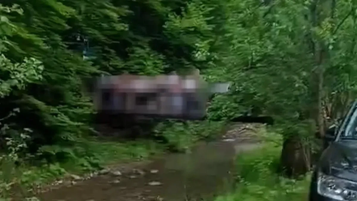 Snimljen momenat kad je 30-ak mališana završilo u hladnoj vodi: Srušio se most pod njihovom težinom, drama na ekskurziji u Viženki