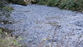 Devojčica (13) se utopila u Velikoj Moravi: Tragedija kod Ve