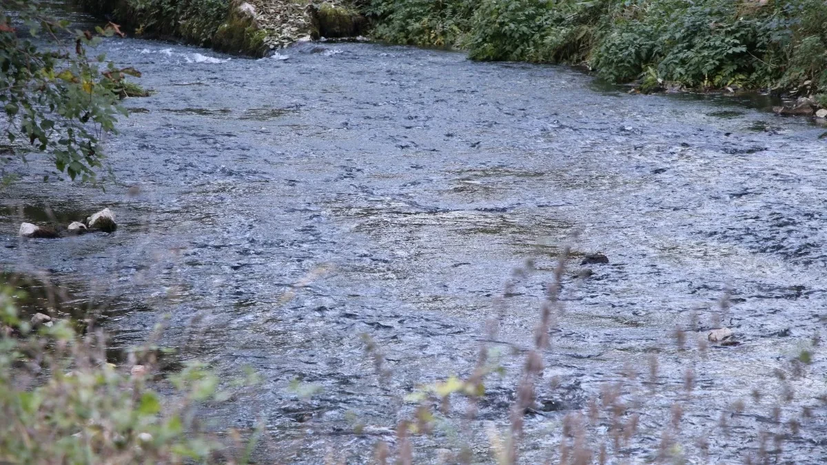 Devojčica (13) se utopila u Velikoj Moravi: Tragedija kod Velike Plane