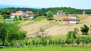 Opasna pojava na severu Srbije: "Pozlilo mi je sam
