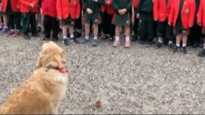 Malo će vam biti pakovanje maramica, lićete suze z