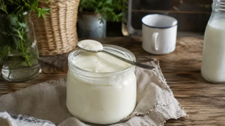 Više ne kupujem jogurt u prodavnici! Komšija mi je pokazao recept od 2 sastojka, ispada gušći od grčkog
