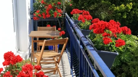 Evo kako da vam cveće ne uvene dok ste na letovanju: Treba vam samo 1 stvar koju uvek imate u kući, o zalivanju ne morate da razmišljate bar 10 dana