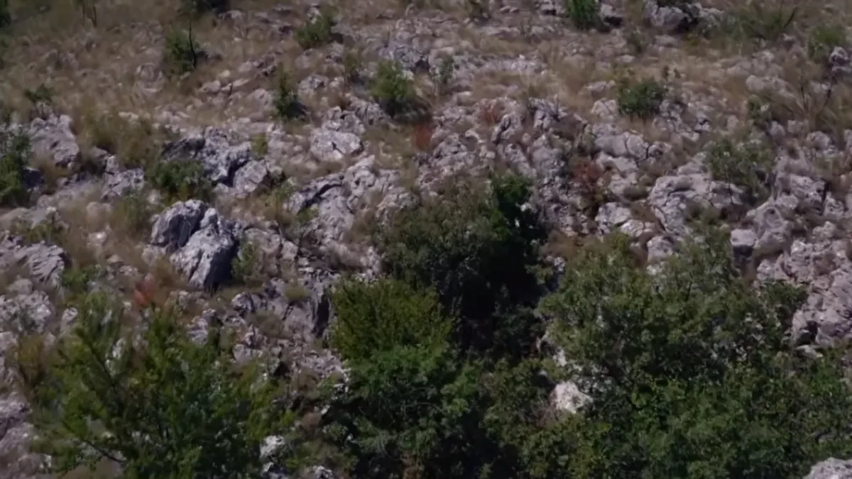 Ustaše su motkama žrtve gurale u ponor! Izdvojili sebi 7,8 devojaka, one se otrgle od užasa i bacile same preko leševa
