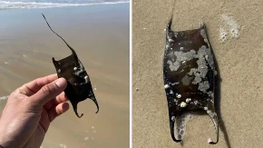 Da li ste videli ovo na plaži? Nije od stakla, a ako ga nađete, smesta ga bacite nazad u more