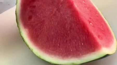 Isečena lubenica postaje kašasta za dan: Jedan trik sa običnom plastičnom posudom to menja iz korena bez muke