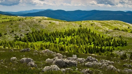 Ova netaknuta srpska planina je oaza za ljubitelje prirode: Krase je prelepi vodopadi, pećine i manastir