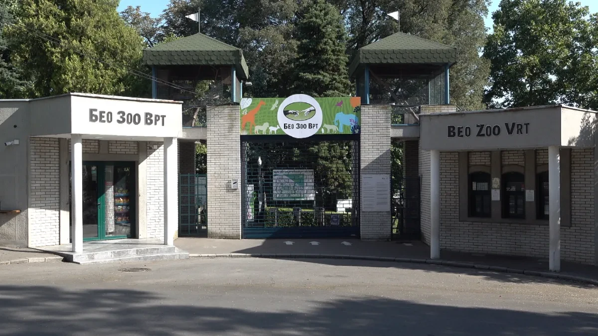 Ljubavna priča iz Beo zoo vrta kao iz filma: Vratio se iz Afrike, doveo partnerku i sada imaju potomke