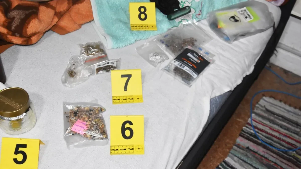 Halucinogene gljive pronađene u Subotici: Zaplenjena i marihuana, uhapšena dvojica (FOTO)