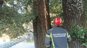 Grom rascepao stablo od 30 metara u centru Prijepolja: Krhotine letele ulicom, zapalio se strujomer, meštani strahuju da će drvo pasti