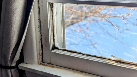 Primetili ste buđ na drvenim površinama? Slušajte šta kažu eksperti, ovako se najlakše čisti
