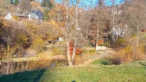 Za cenu stana u gradu prodaje se celo selo: Ima 15 kuća, ali postoji jedna velika caka