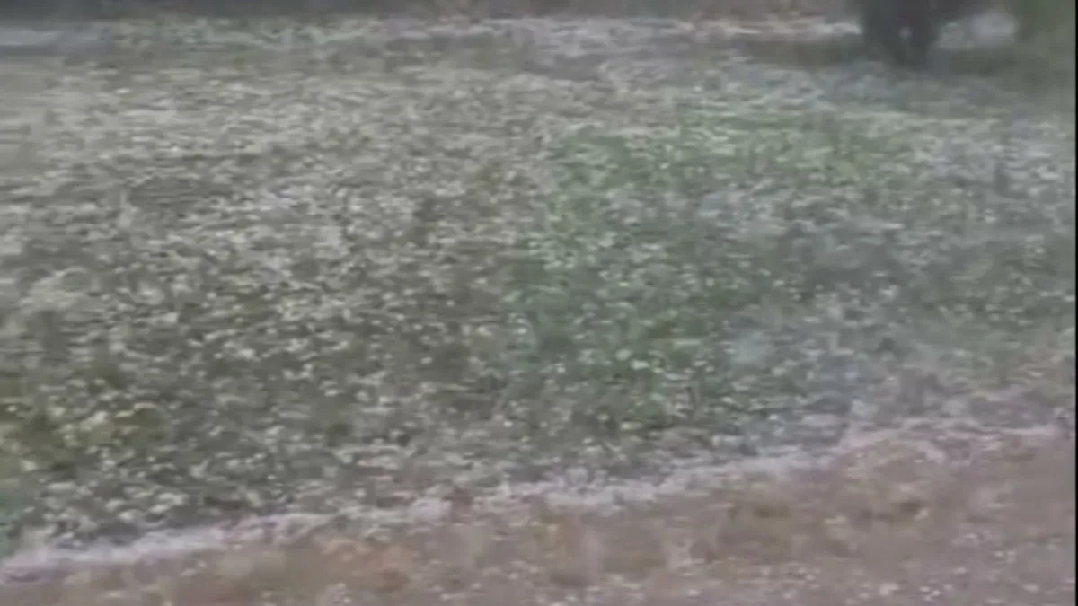 Za samo 15 minuta nastao haos: Grad tukao, vetar razarao dvorišta, snimci obilaze region (VIDEO)