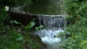Ova banja je jedna od najlekovitijih u Srbiji: Zaboravljeni biser turizma krije pravo prirodno bogatstvo