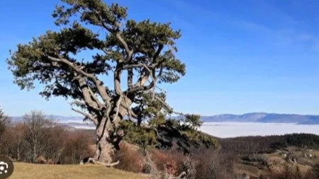 Selo u Srbiji o kojem svi pričaju: Mnogi ovde dožive 100. godinu, a sve počinje od jedne čudesne vode