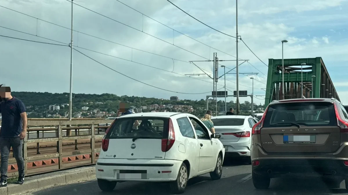 Vozači zarobljeni na Pančevačkom mostu! Lančani sudar napravio haos