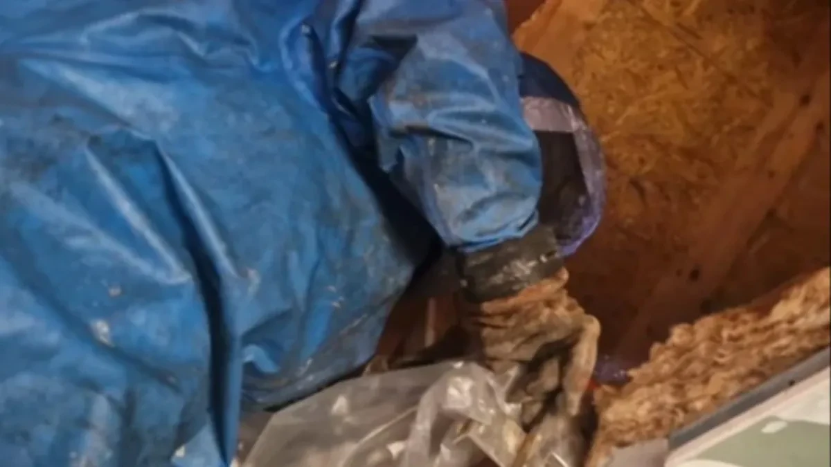Na tavanu ih je čekao horor: Vladica morao hitno da obuče specijalno odelo zbog prizora koji je zatekao!