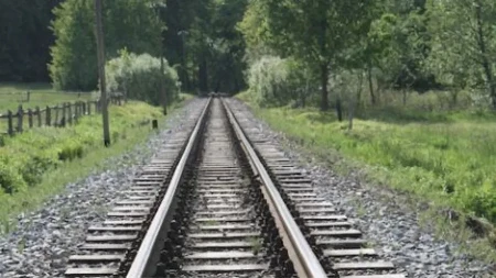 Radnik obezbeđenja železnice ispao iz voza posle sukoba sa putnikom! Teško povređen