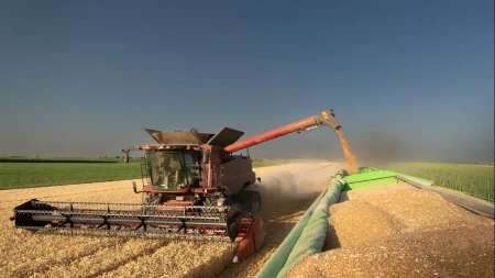 Cene hrane ponovo idu naviše - ekonomisti upozoravaju kada stiže novi udar na novčanike