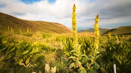 KAKO JE ŠAR-PLANINA DOBILA IME Na svakom koraku izvori i potoci, divlje penušave planinske reke, ali magija nastaje kad padne sneg